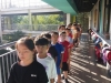 CDES