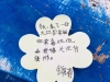 GUANGXI2019